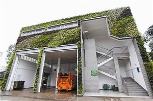 深圳龙华&ldquo;垃圾站&rdquo;似&ldquo;盆景&rdquo; 