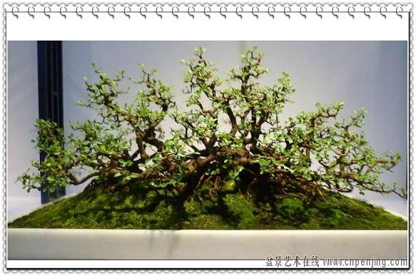 珠海盆景绿化工程