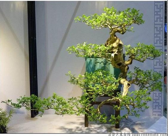 化腐朽为神奇 汕头七旬老人庄楚生独创泡塑盆景艺术