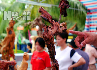 海南省第二届盆景评比展览10月1日上午在海口奥林