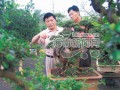 海南盆景艺术工作者刘传刚获得盆景艺术大师称号