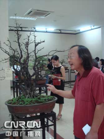 胡庆魁海南乡土树种盆景展9日开幕