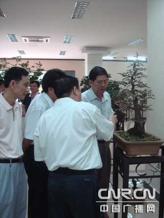 胡庆魁海南乡土树种盆景展9日开幕