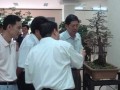 胡庆魁海南乡土树种盆景展9日开幕