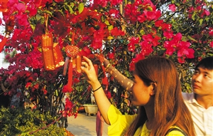 res01_attpic_brief.jpg 海南花卉大世界明年4000余种花卉盆景供消费者选购