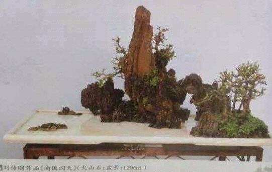 浅谈 目前的三亚盆景界