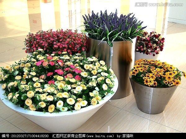 阳明路47个花坛将摆盆景