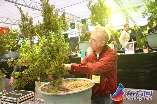 2016中国盆景无国界大会7日开幕 70位盆景艺术家同台表演