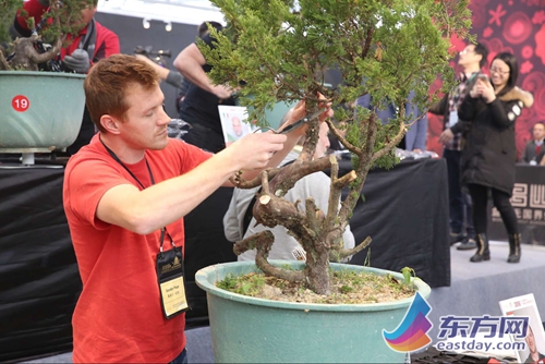 2016中国盆景无国界大会7日开幕 70位盆景艺术家同台表演