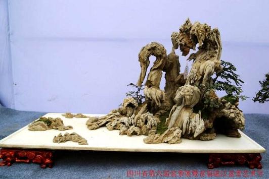 四川邛崃2012花木盆景博览会隆重开幕