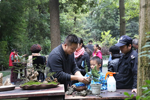 2.jpg 四川草堂小学开展盆景制作园艺课程体验活动