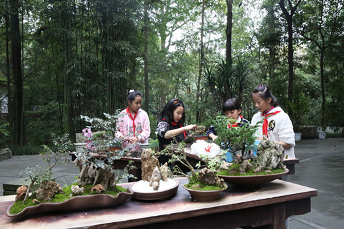 1.jpg 四川:草堂小学开展盆景制作园艺课程体验活动