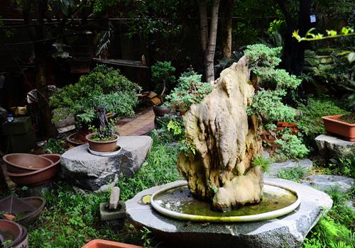 四川大邑兰妹苑倾力打造川派盆景文化产业