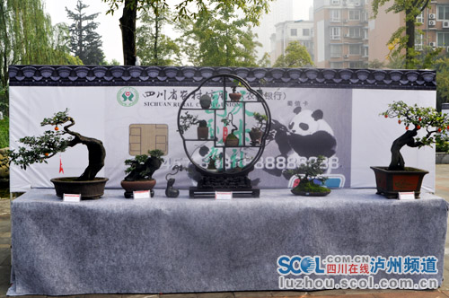 四川省首届泸州&ldquo;农信杯&rdquo;盆景精品展今日开展