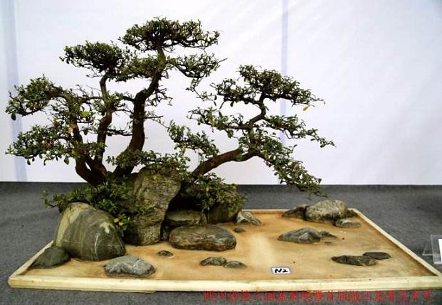 成都望江楼公园