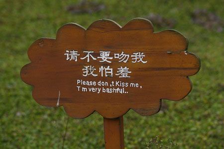 成都一盆景展示区警示牌英文翻译错误百出(组图)