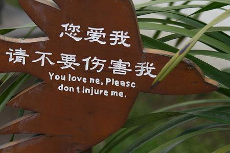 成都一盆景展示区警示牌英文翻译错误百出(组图)