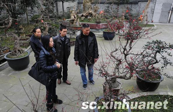 成都安龙小镇借力重建打造成川派盆景基地