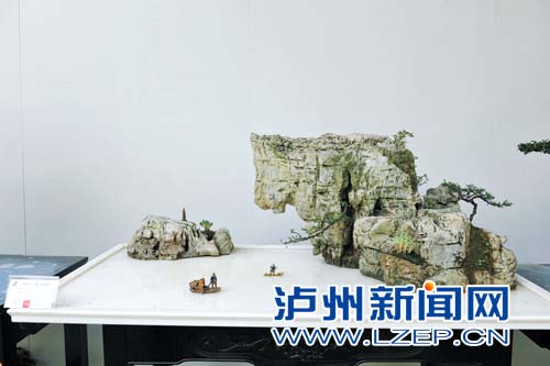泸州盆景作品在盆景展获金奖