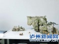 泸州盆景作品在省盆景展获金奖