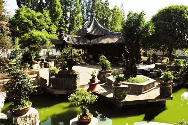 都江堰安龙盆景艺术节集齐印章赢优惠