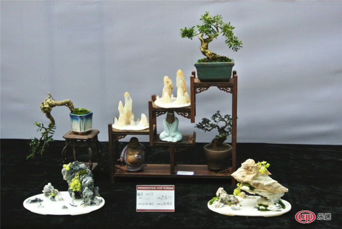 首届贵州中小型盆景展暨红华杯盆景邀请大赛盛大开幕