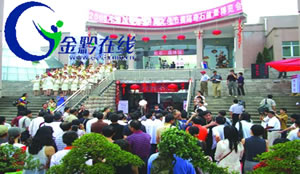 凉都:六盘水奇石博览会 奇石盆景异彩纷呈(图)