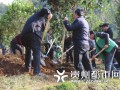 安顺拟建166座山体公园 打造公园化盆景生态城市