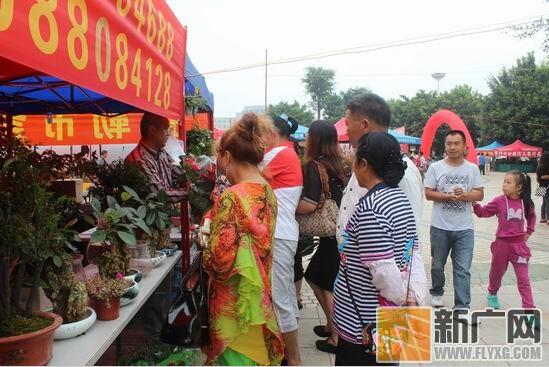 1.jpg 云南弥勒首届盆景展实现销售收入100多万元