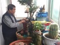 西安九旬老人懂生活闲不住 自制盆景春意浓