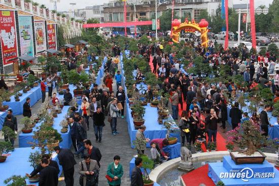 陕西省第二届盆景赏石根艺暨书画展在安康开幕（全文）