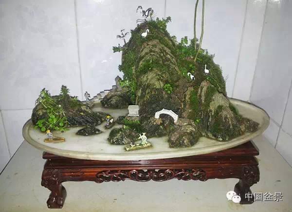 西安巷花盆被砸盆景被毁