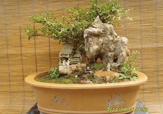 南通如皋大学生独创微型盆景 网上卖出&ldquo;花名堂&rdquo;