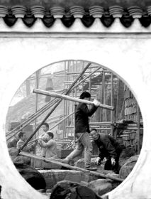 南山崛起西部第一精品园 盆景园明年3月开放