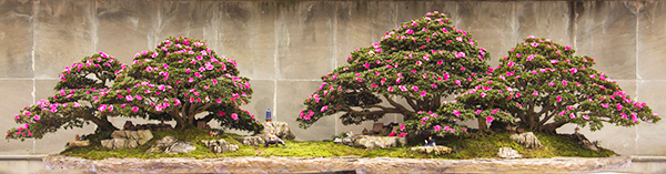 藏龙卧虎！南山上的这个村不得了堪称重庆最文艺的村