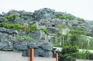 楼顶惊现空中别墅像特大盆景 装修花3000万?