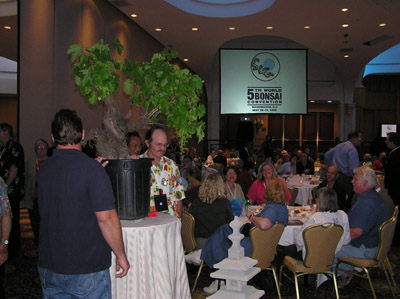 陈村：盆博会将中国盆景赏石文化推向世界