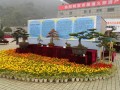 如皋盆景获得2016土耳其安塔利亚世园会特别奖