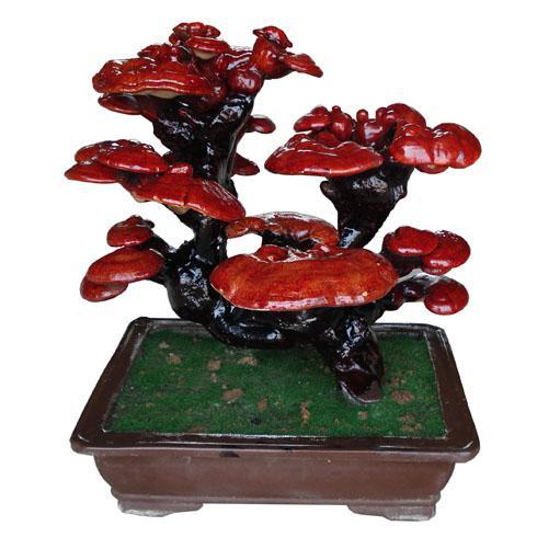 首次鲜花专场拍卖会 1800元拍走灵芝盆景