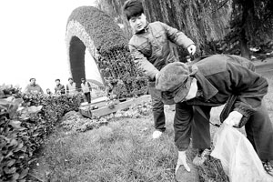 地坛南门鲜花盆景遭“私分”