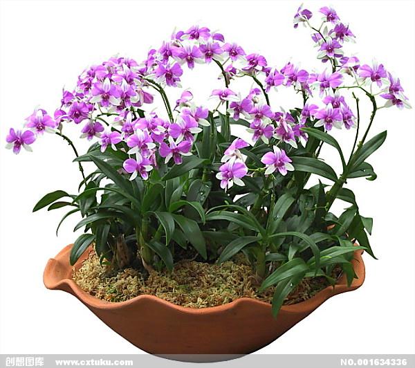 会场没鲜花盆景只摆茶杯和资料