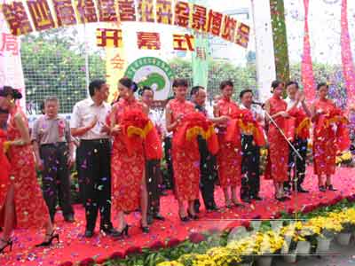 丰盛之年花卉盆景好吃香