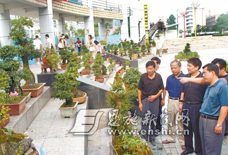 建始举办花卉盆景根艺奇石展