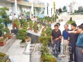 建始举办花卉盆景根艺奇石展