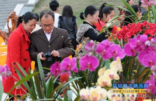 上思县举办花卉盆景展