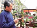 居民们都被千姿百态的花卉盆景作品给吸引了