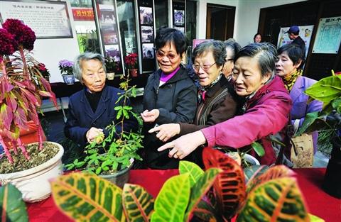 江苏：&ldquo;花香四溢&middot;情满社区&rdquo;花卉盆景展览会