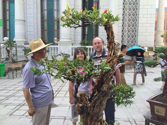 盆景花卉展吸引外国游客驻足欣赏。马振龙 摄