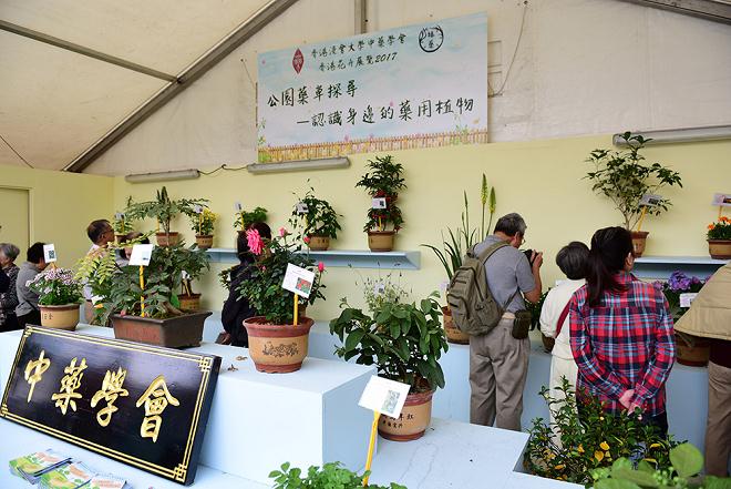 &ldquo;文农学圃&rdquo;盆景花卉展亮相