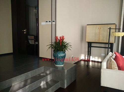 上海租用办公绿化租摆/花卉盆景